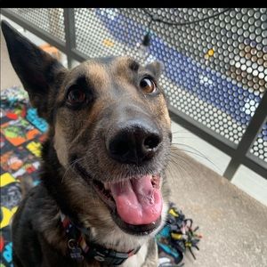 Meet your Posher, Miles